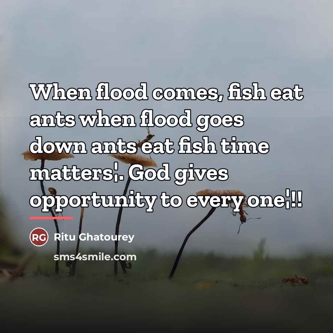 “When flood comes, fish eat ants when flood goes down…” quote by Ritu Ghatourey