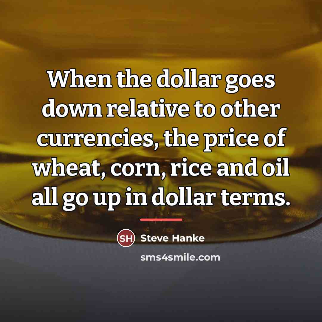 “When the dollar goes down relative to other currencies, the…” quote by Steve Hanke