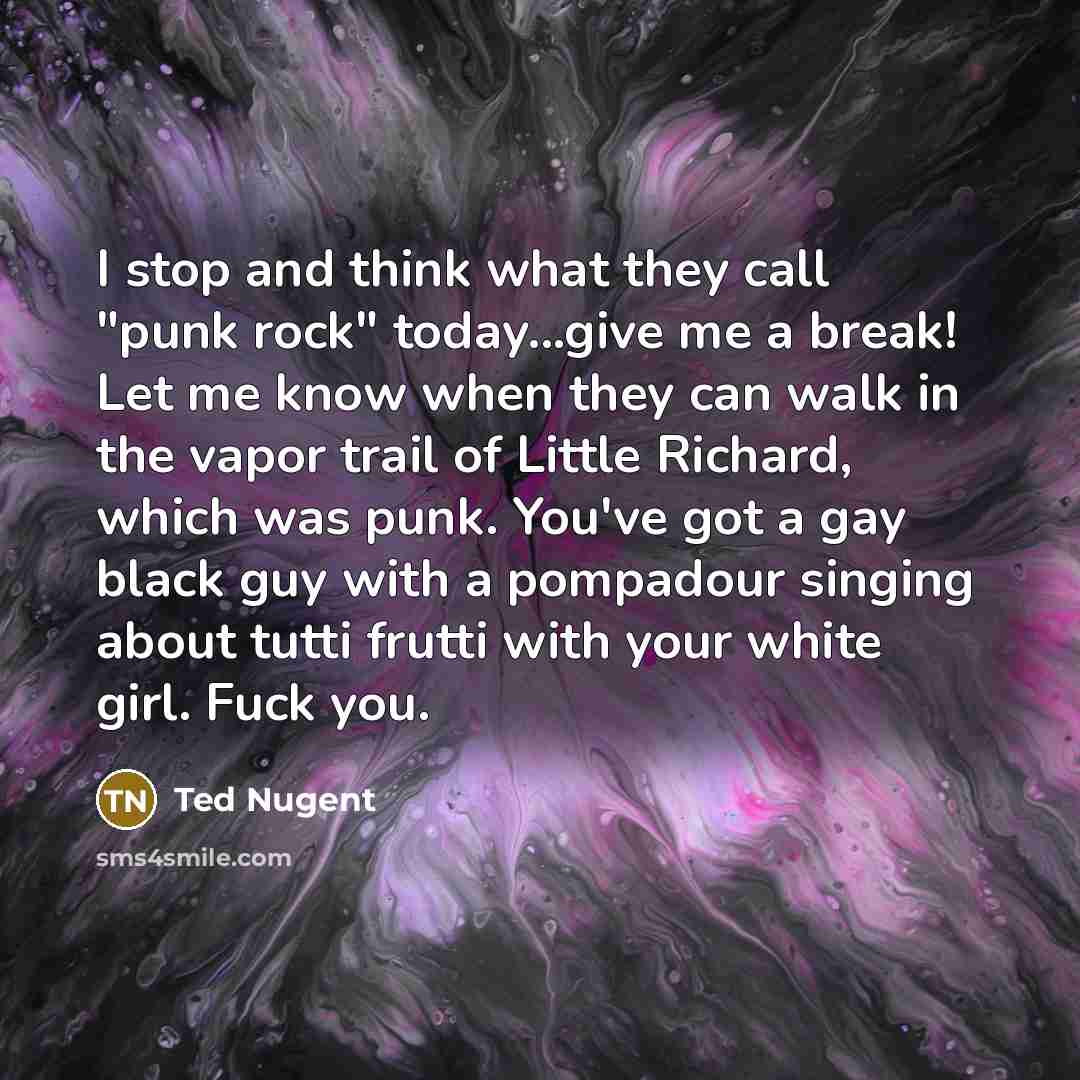 “I stop and think what they call "punk rock" today...give…” quote by Ted Nugent