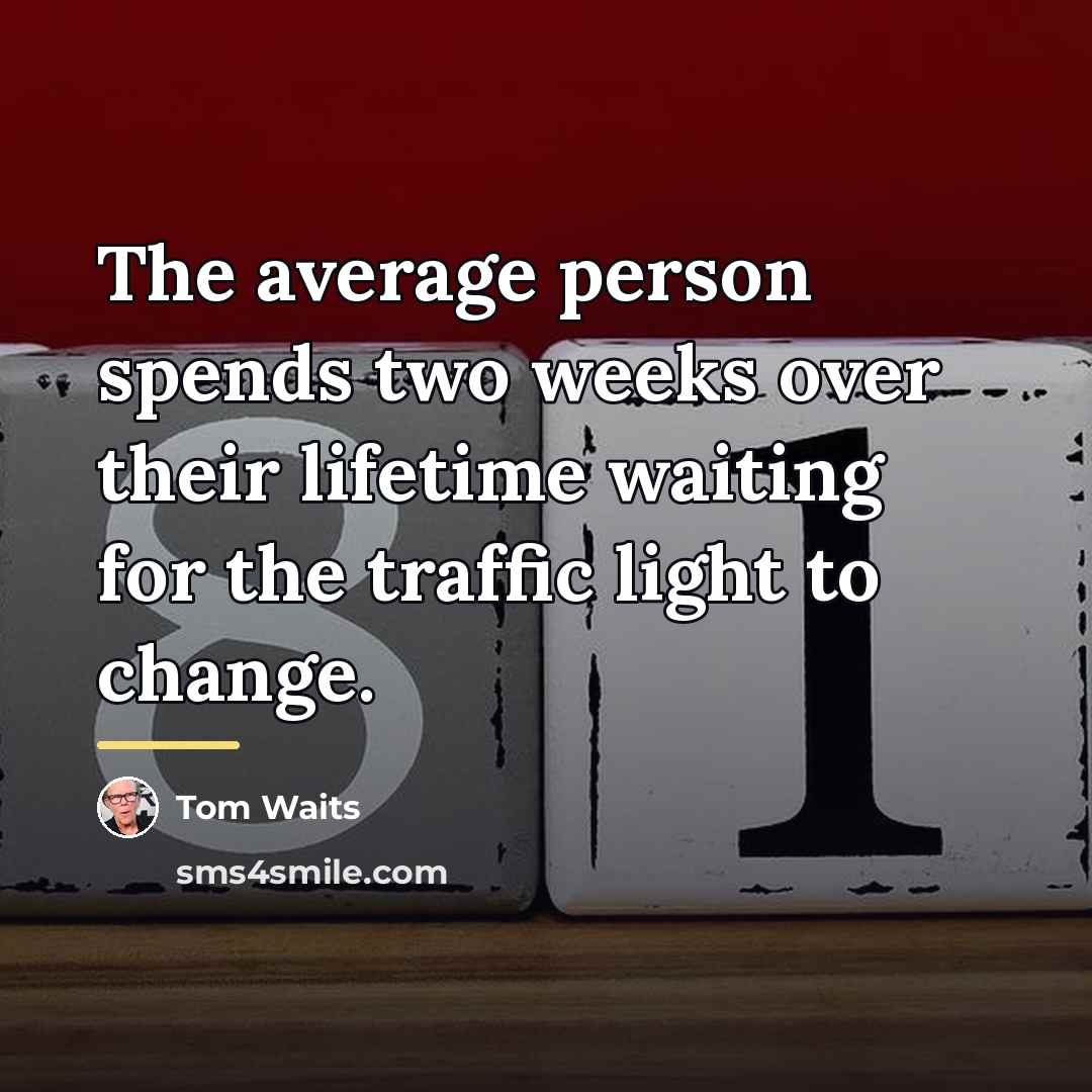 “The average person spends two weeks over their lifetime waiting…” quote by Tom Waits