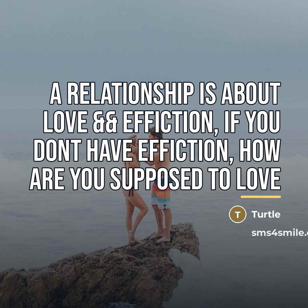 “A Relationship Is About Love && Effiction, If You Dont…” quote by Turtle