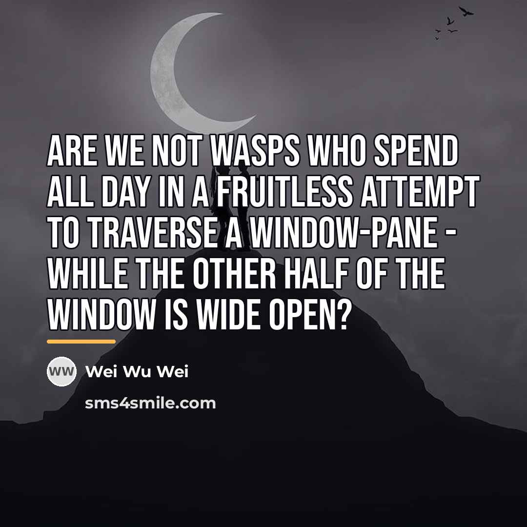 “Are we not wasps who spend all day in a…” quote by Wei Wu Wei