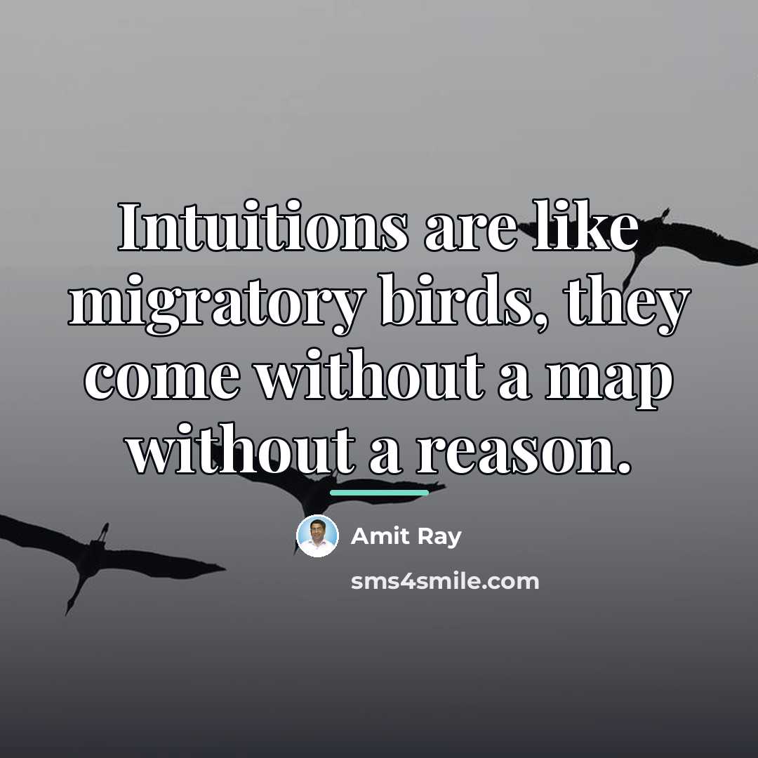 “Intuitions are like migratory birds, they come without a map…” quote by Amit Ray