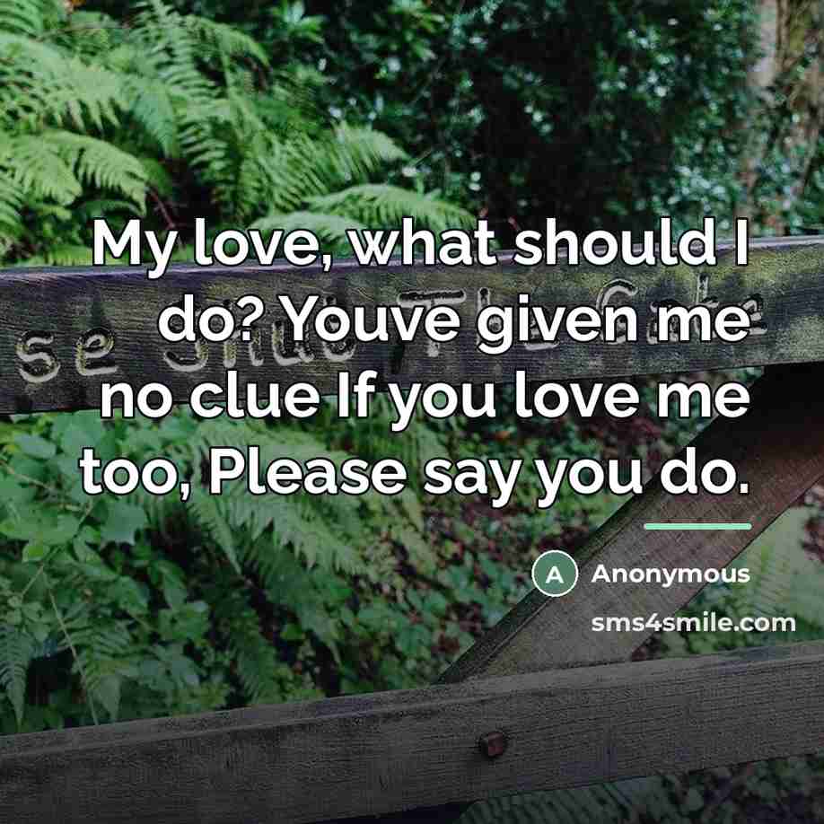 “My love, what should I do? Youve given me no…” quote by Anonymous