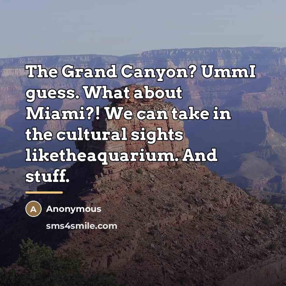 “The Grand Canyon? UmmI guess. What about Miami?! We can…” quote by Anonymous