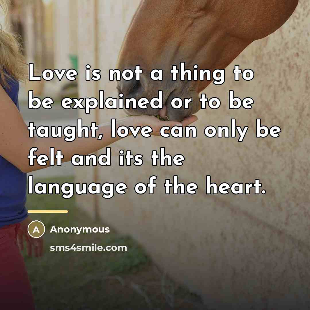 “Love is not a thing to be explained or to…” quote by Anonymous