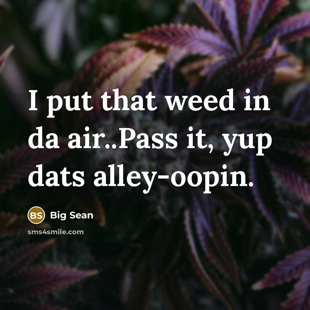 “I put that weed in da air..Pass it, yup dats…” quote by Big Sean