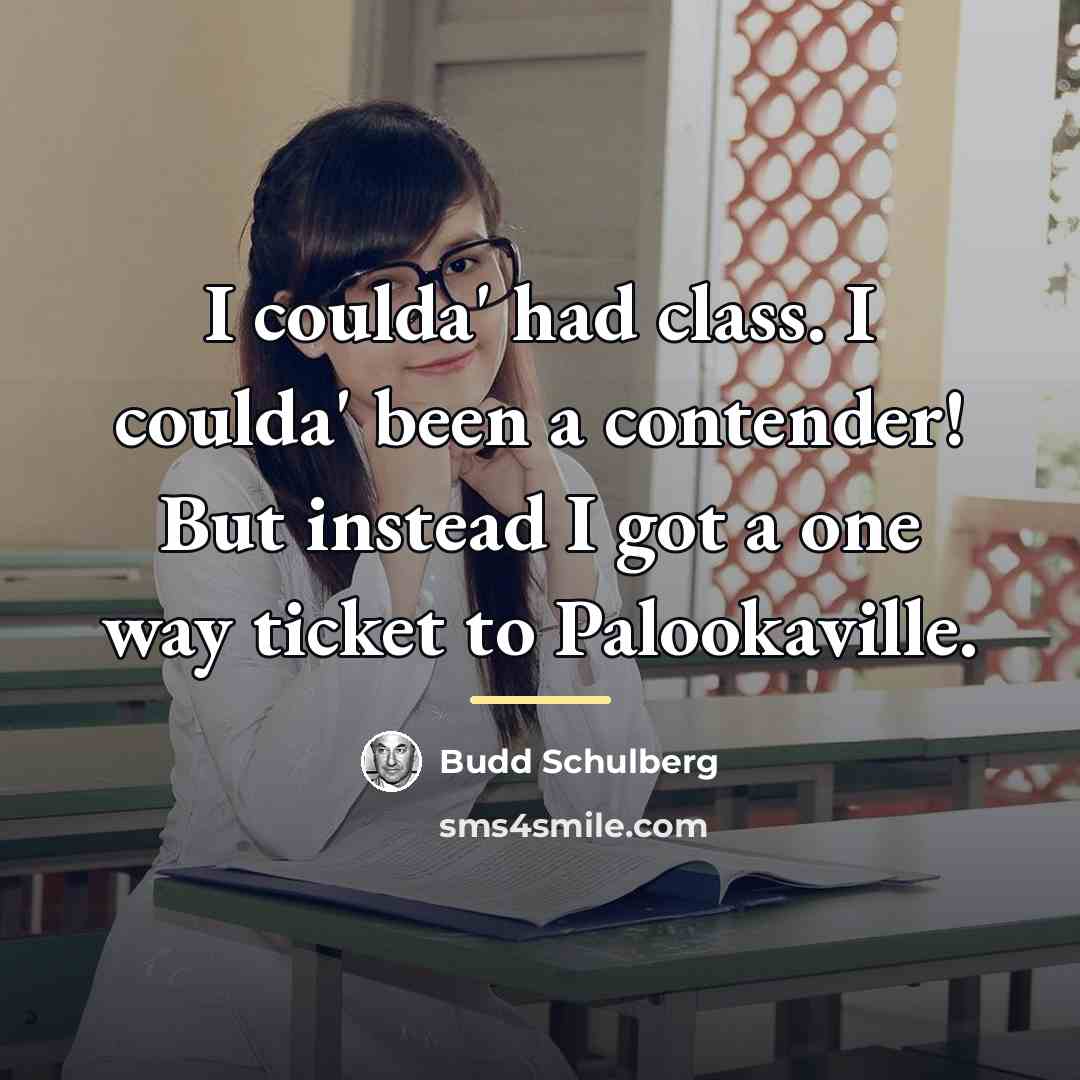 “I coulda' had class. I coulda' been a contender! But…” quote by Budd Schulberg