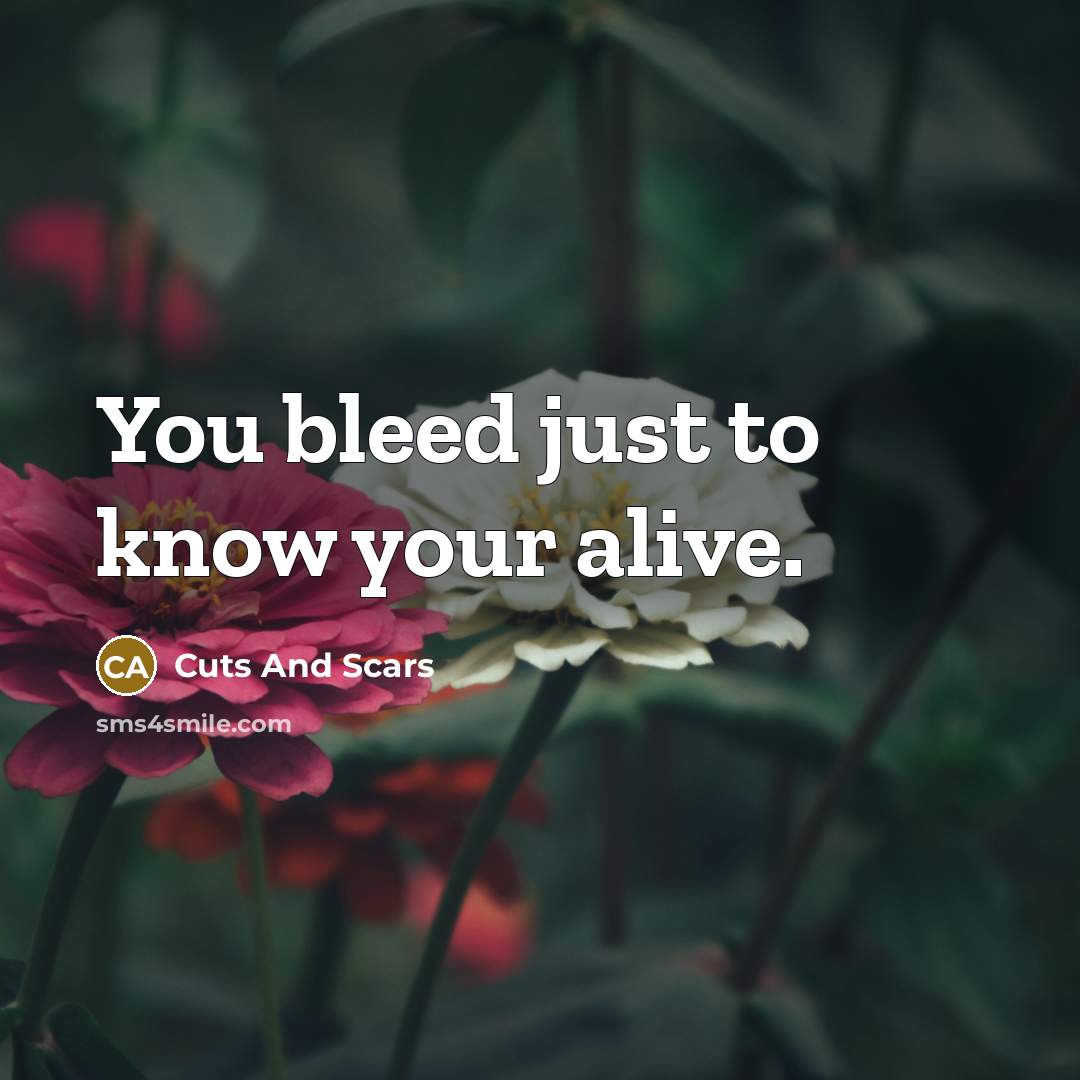 “You bleed just to know your alive.…” quote by Cuts And Scars