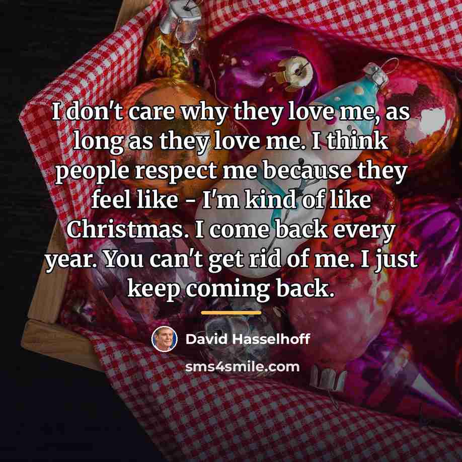 “I don't care why they love me, as long as…” quote by David Hasselhoff