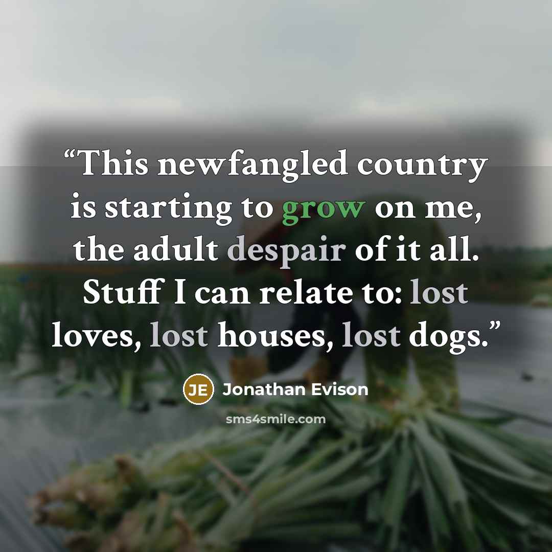 “This newfangled country is starting to grow on me, the adult despair of it all. Stuff I can relate to: lost loves, lost houses, lost dogs.” quote by Jonathan Evison