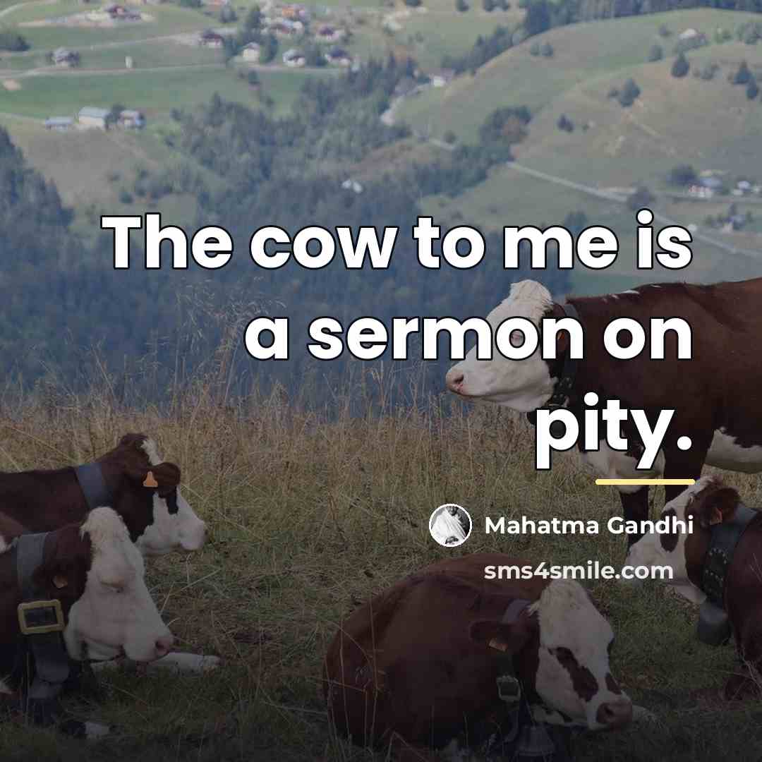 “The cow to me is a sermon on pity.…” quote by Mahatma Gandhi