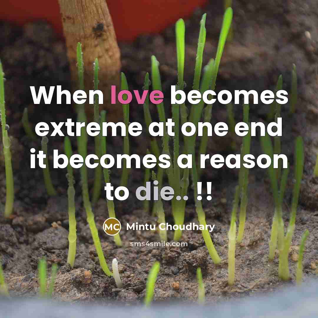 “When love becomes extreme at one end it becomes a reason to die.. !!” quote by Mintu Choudhary