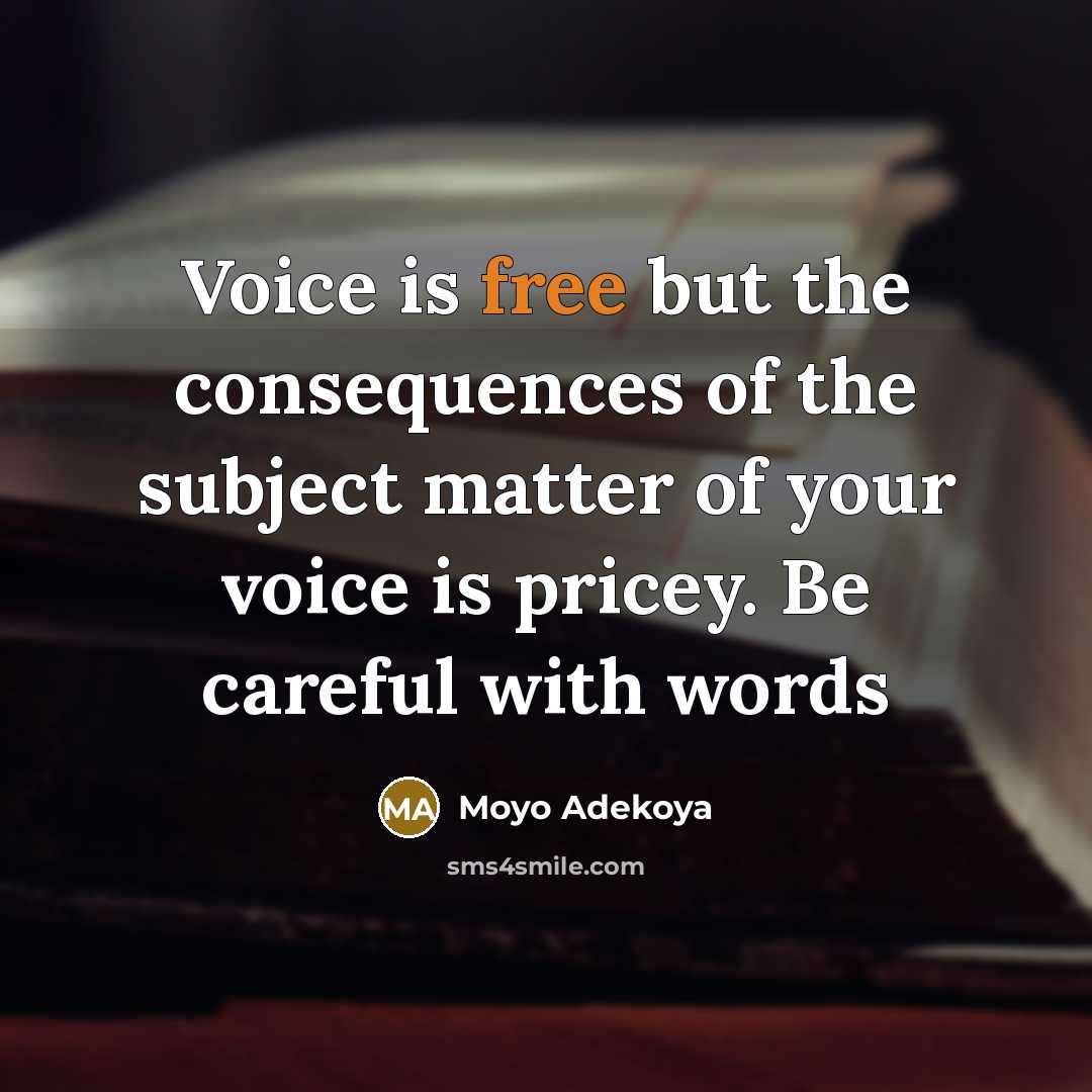 “Voice is free but the consequences of the subject matter of your voice is pricey. Be careful with words” quote by Moyo Adekoya