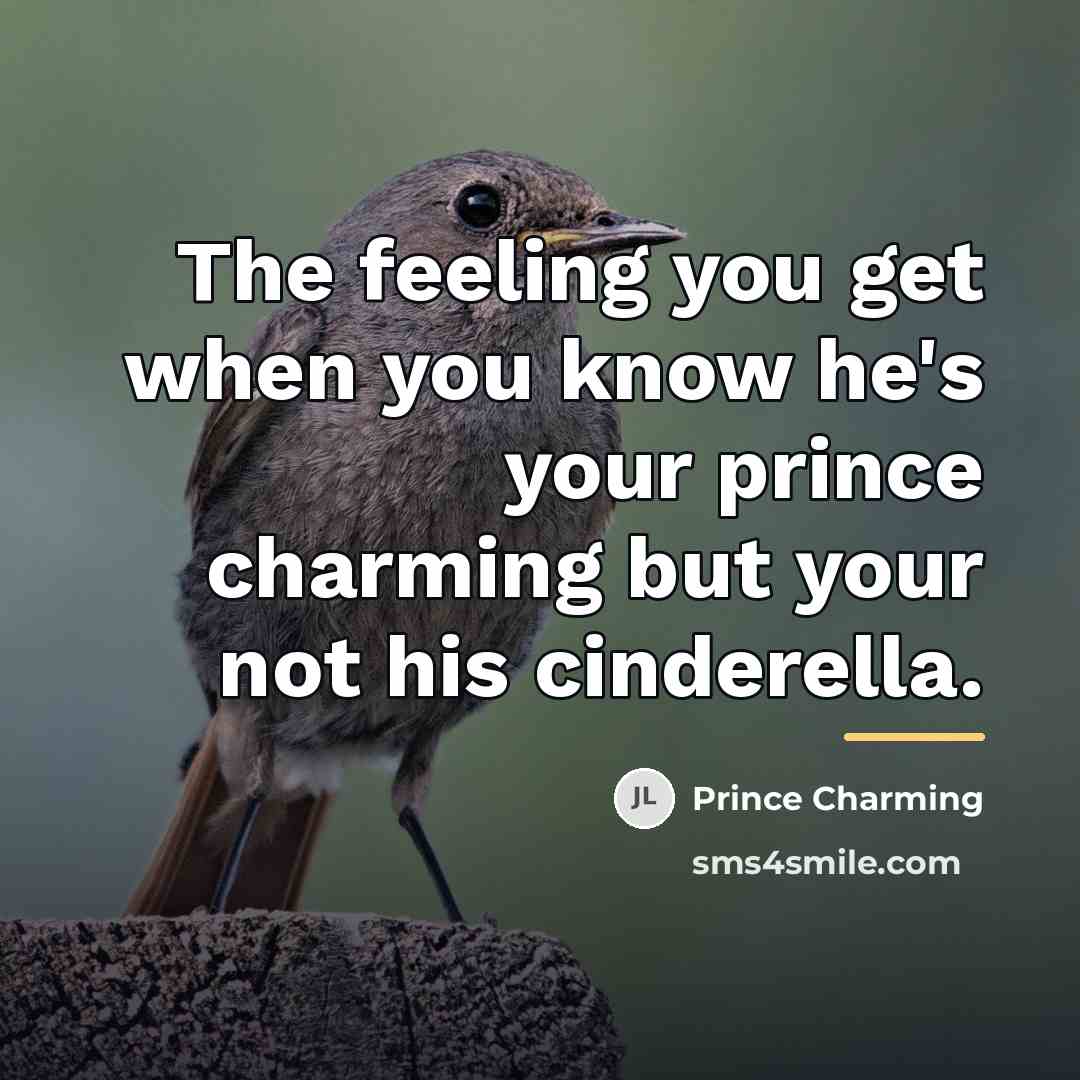 “The feeling you get when you know he's your prince…” quote by Prince Charming