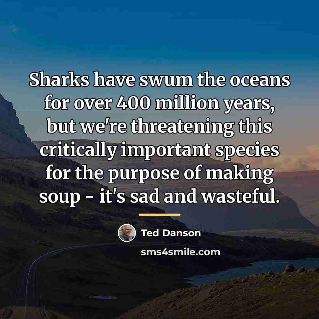 “Sharks have swum the oceans for over 400 million years,…” quote by Ted Danson