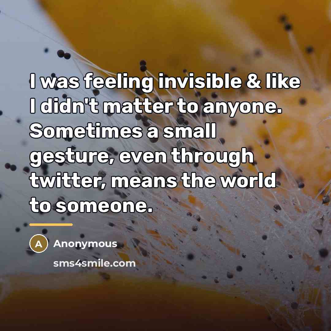 “I was feeling invisible & like I didn't matter to…” quote by Anonymous