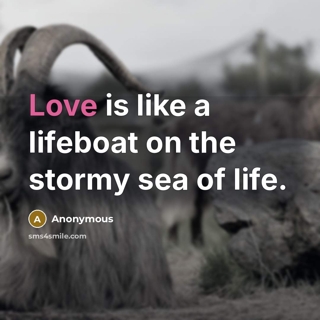 “Love is like a lifeboat on the stormy sea of…” quote by Anonymous