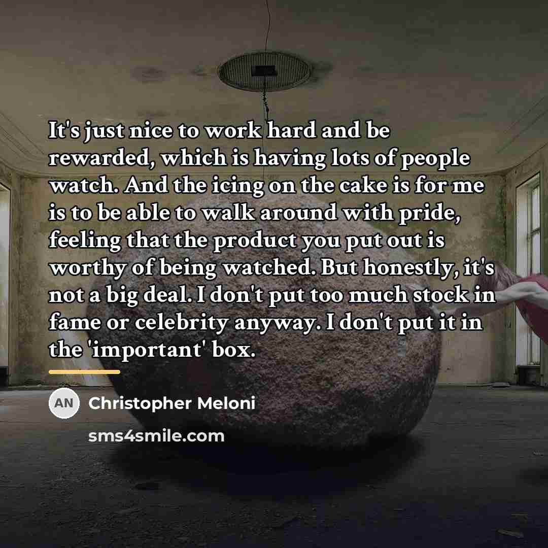 “It's just nice to work hard and be rewarded, which…” quote by Christopher Meloni