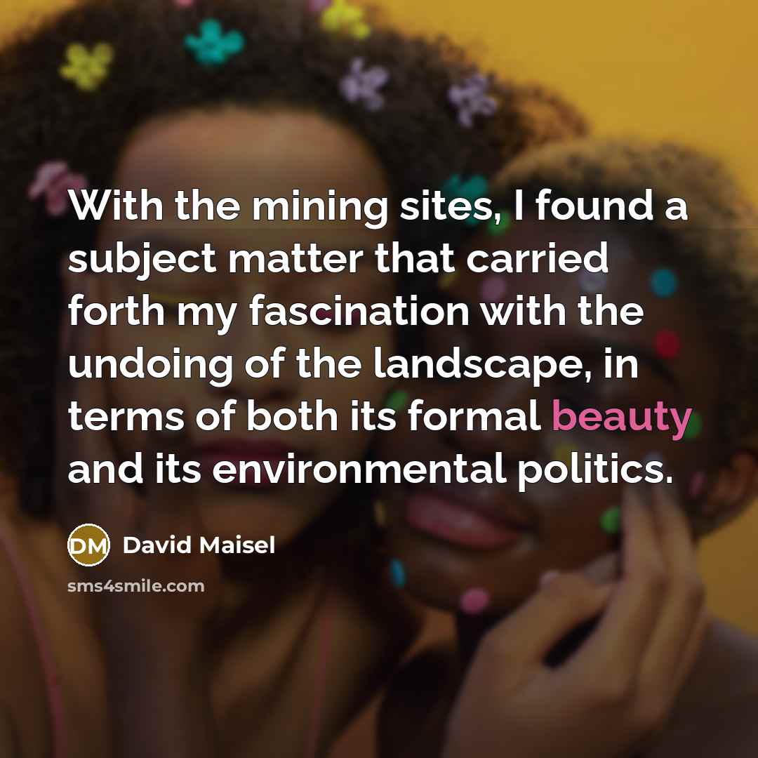 “With the mining sites, I found a subject matter that…” quote by David Maisel