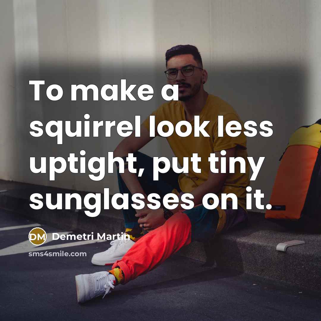 “To make a squirrel look less uptight, put tiny sunglasses…” quote by Demetri Martin