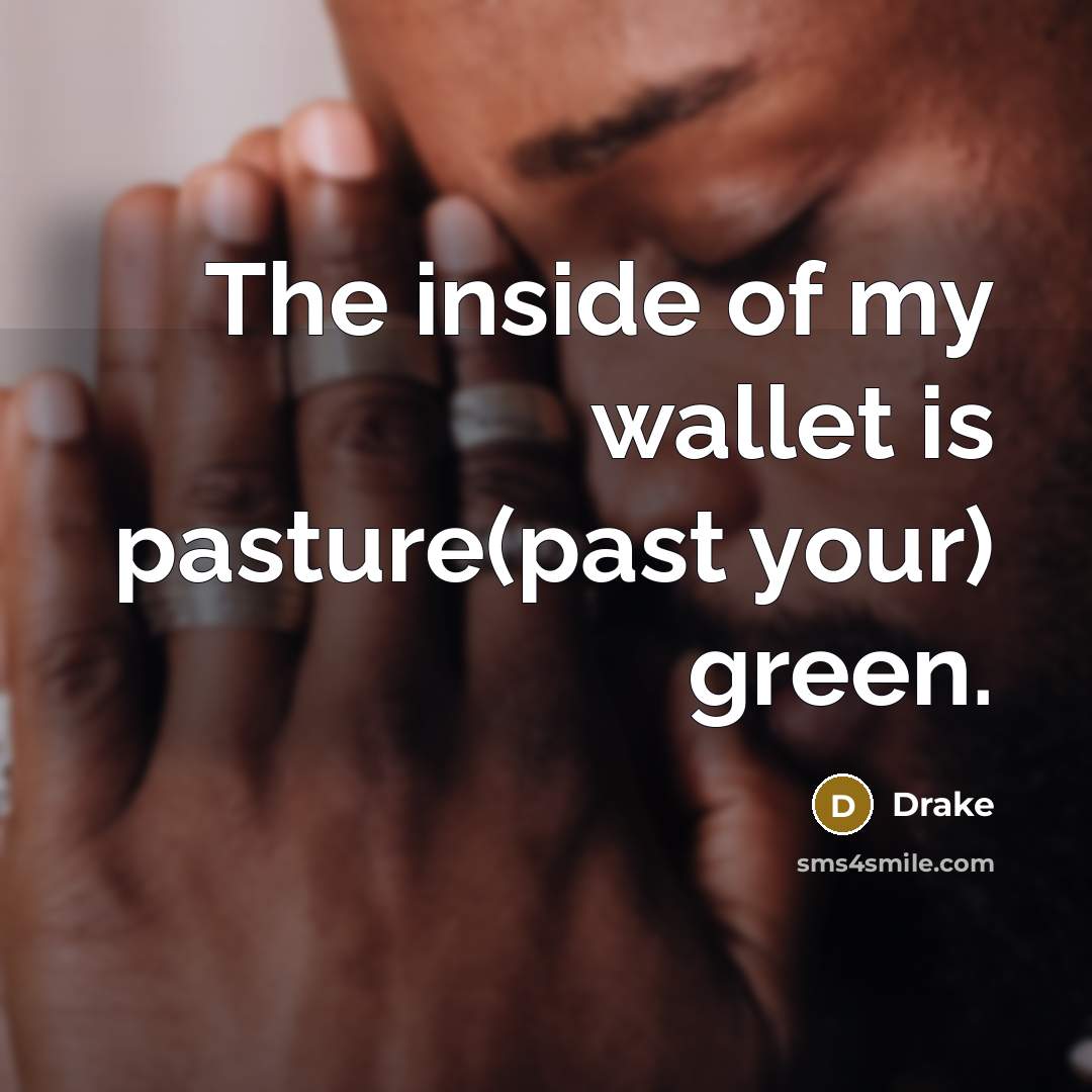 “The inside of my wallet is pasture(past your) green.…” quote by Drake