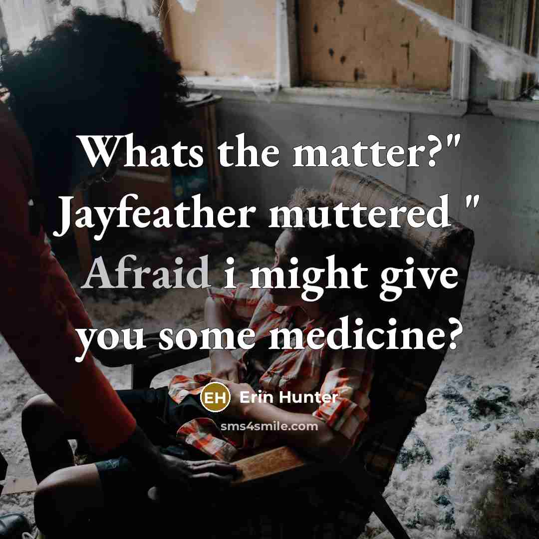 “Whats the matter?" Jayfeather muttered " Afraid i might give you some medicine?” quote by Erin Hunter