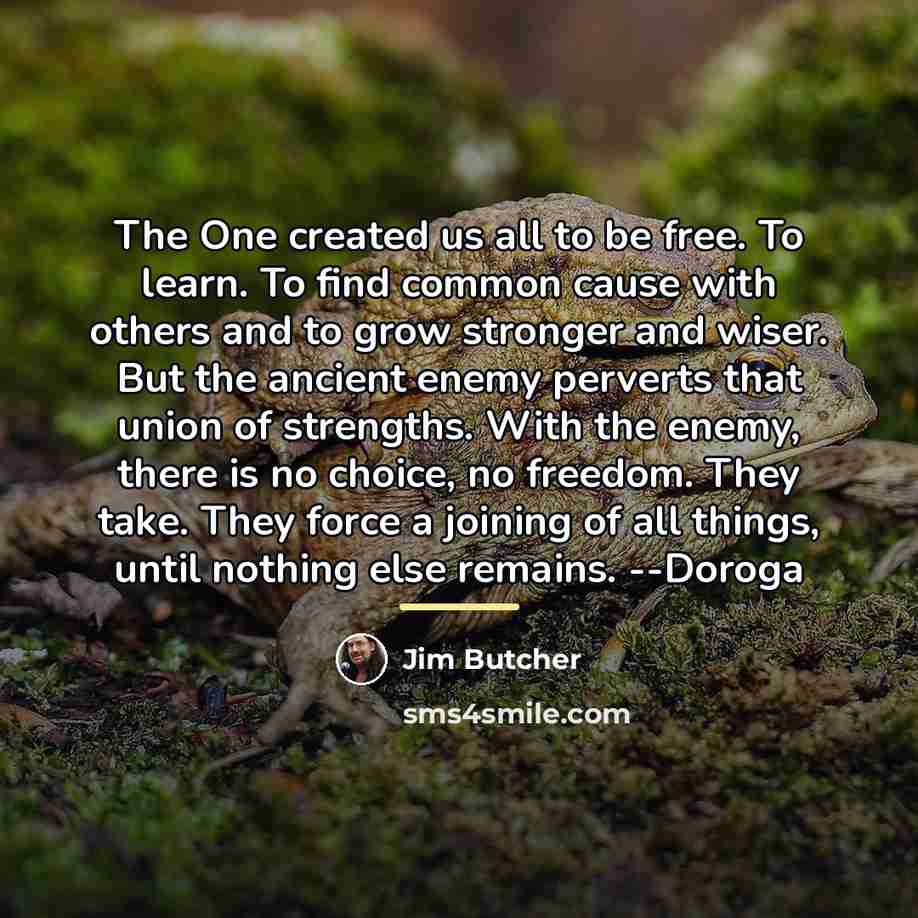 “The One created us all to be free. To learn.…” quote by Jim Butcher