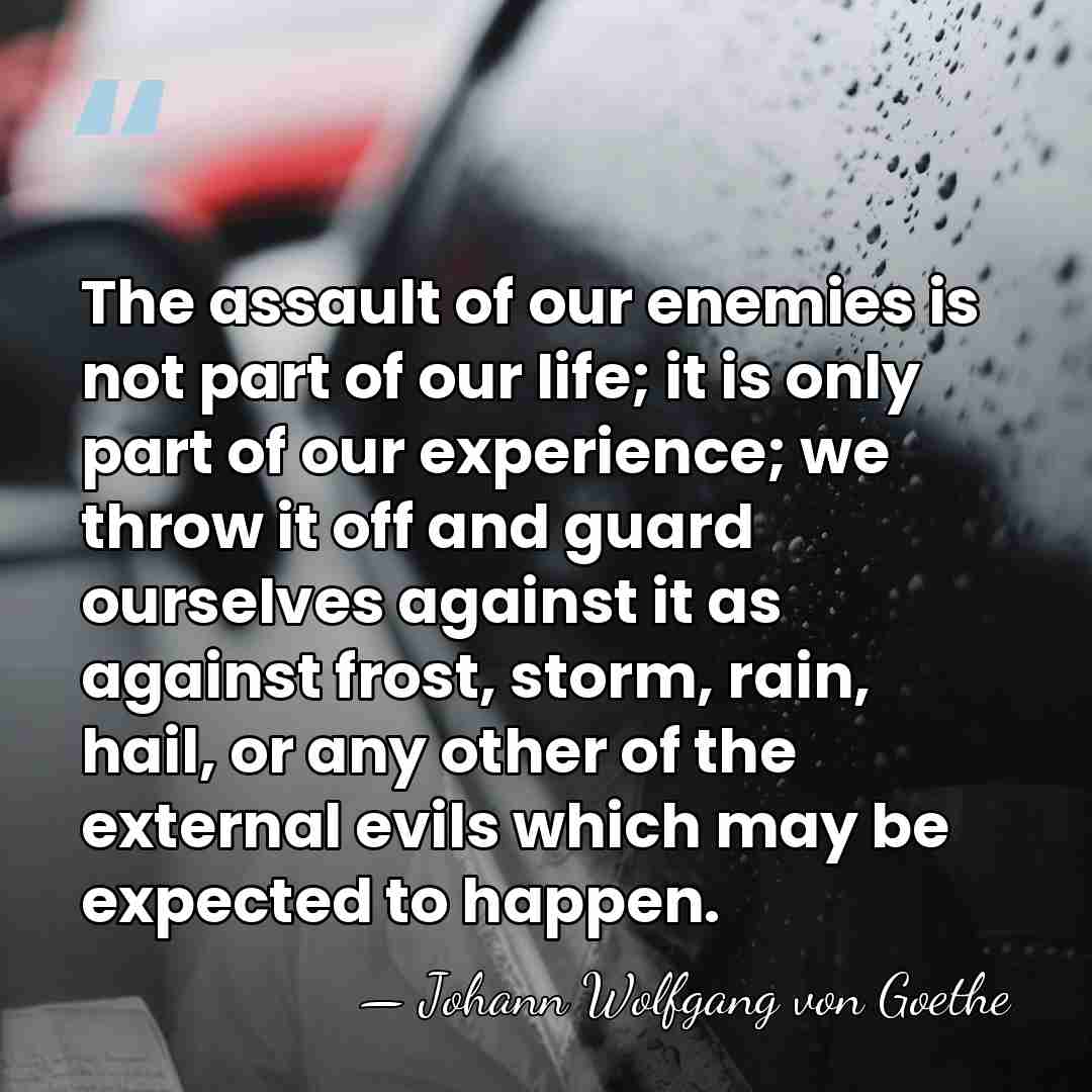 The assault of our enemies is not part of our life; it&hellip; - Johann Wolfgang von Goethe