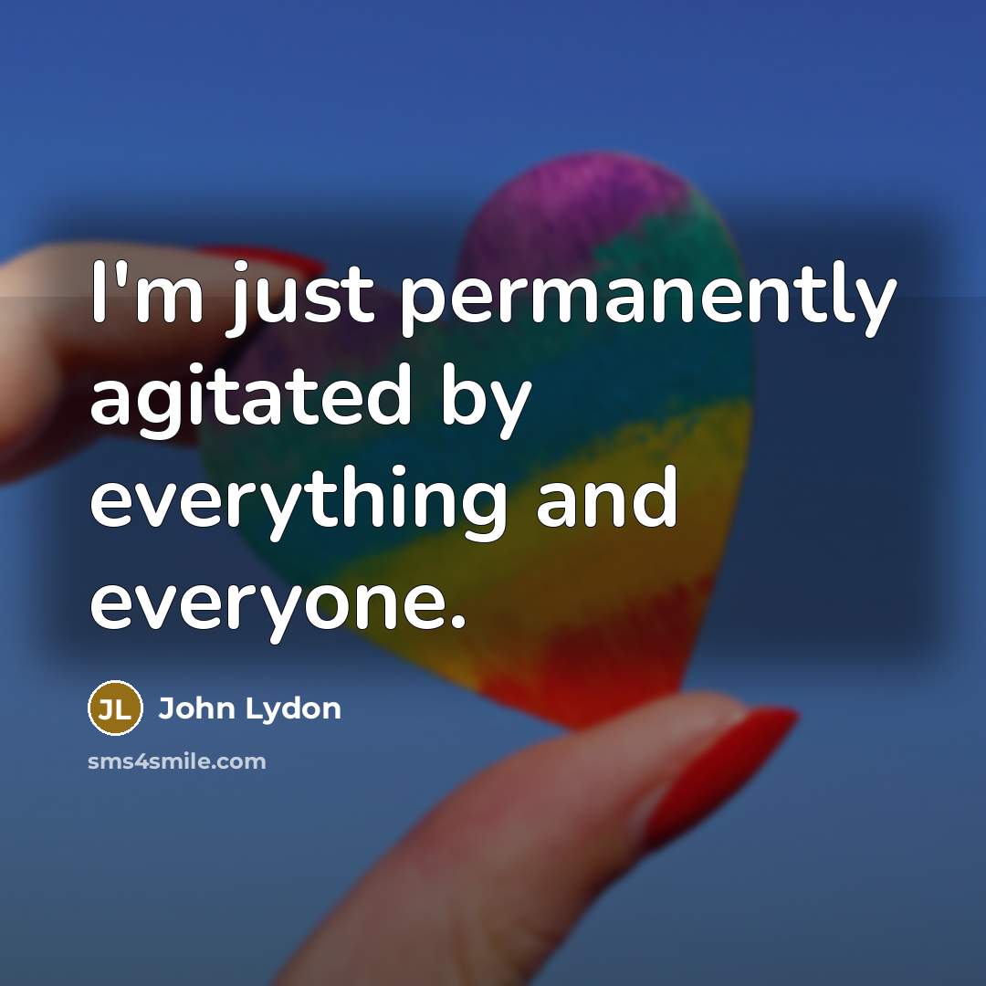 “I'm just permanently agitated by everything and everyone.” quote by John Lydon