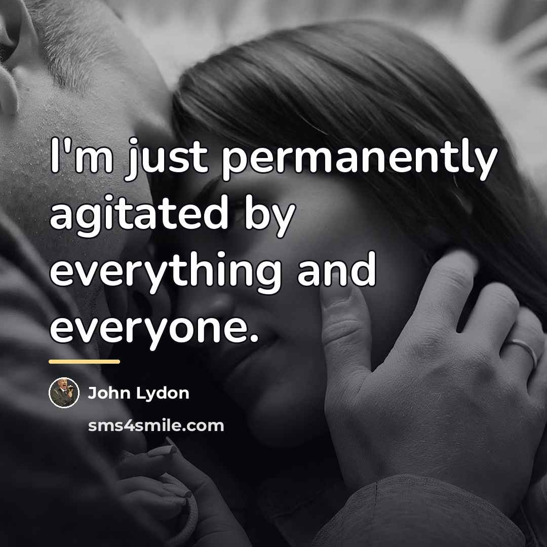 “I'm just permanently agitated by everything and everyone.…” quote by John Lydon