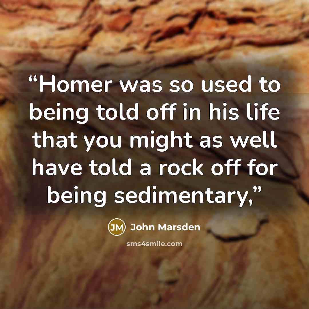 “Homer was so used to being told off in his life that you might as well have told a rock off for being sedimentary,” quote by John Marsden