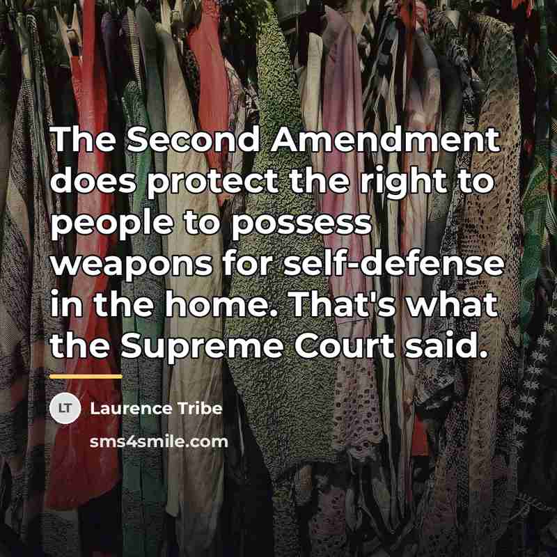 “The Second Amendment does protect the right to people to…” quote by Laurence Tribe