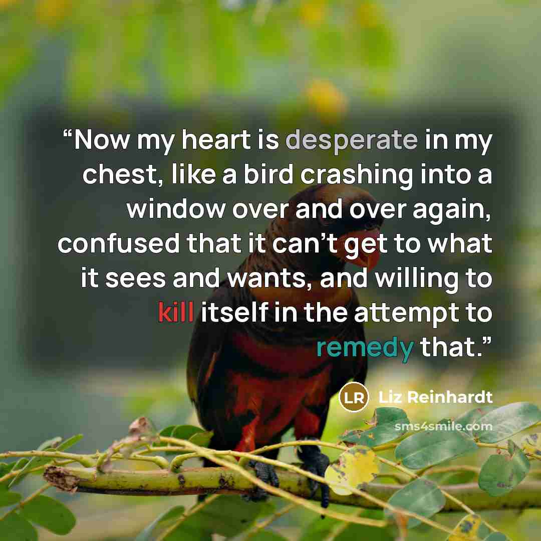 “Now my heart is desperate in my chest, like a bird crashing into a window over and over again, confused that it can't get to what it sees and wants, and willing to kill itself in the attempt to remedy that.” quote by Liz Reinhardt