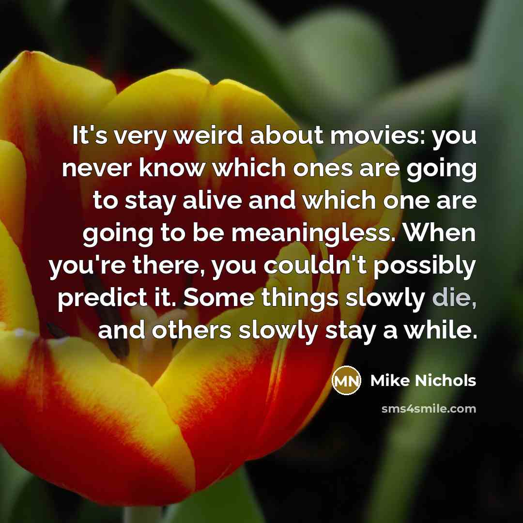 “It's very weird about movies: you never know which ones…” quote by Mike Nichols