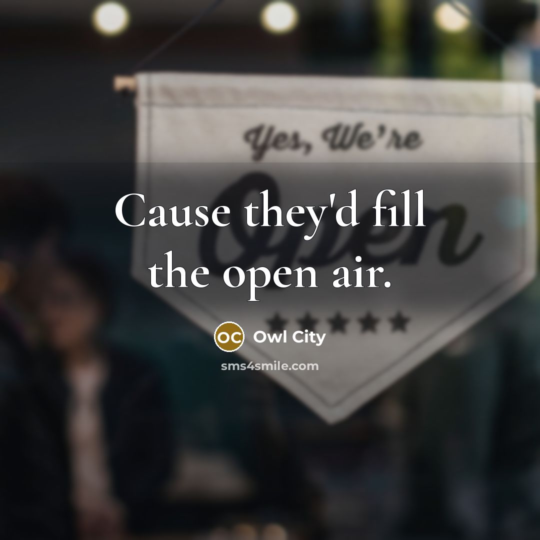 “Cause they'd fill the open air.…” quote by Owl City