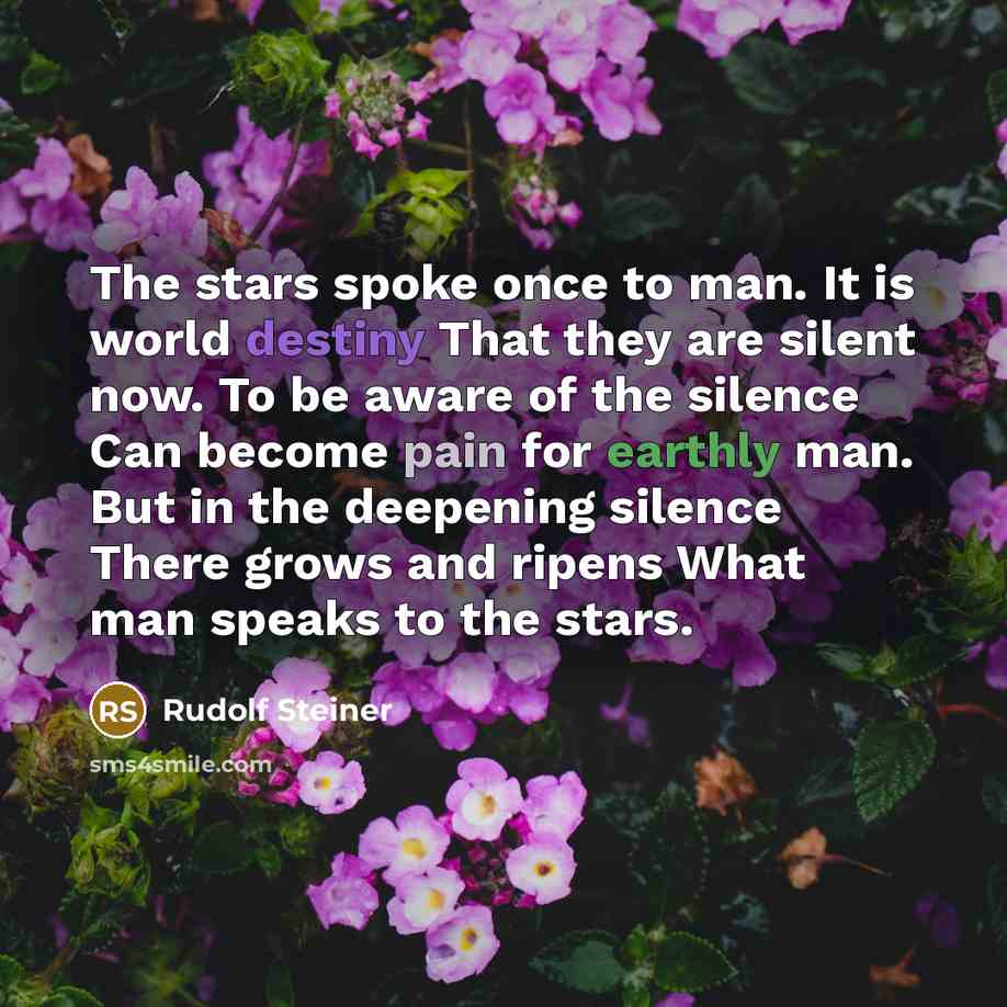 “The stars spoke once to man. It is world destiny…” quote by Rudolf Steiner