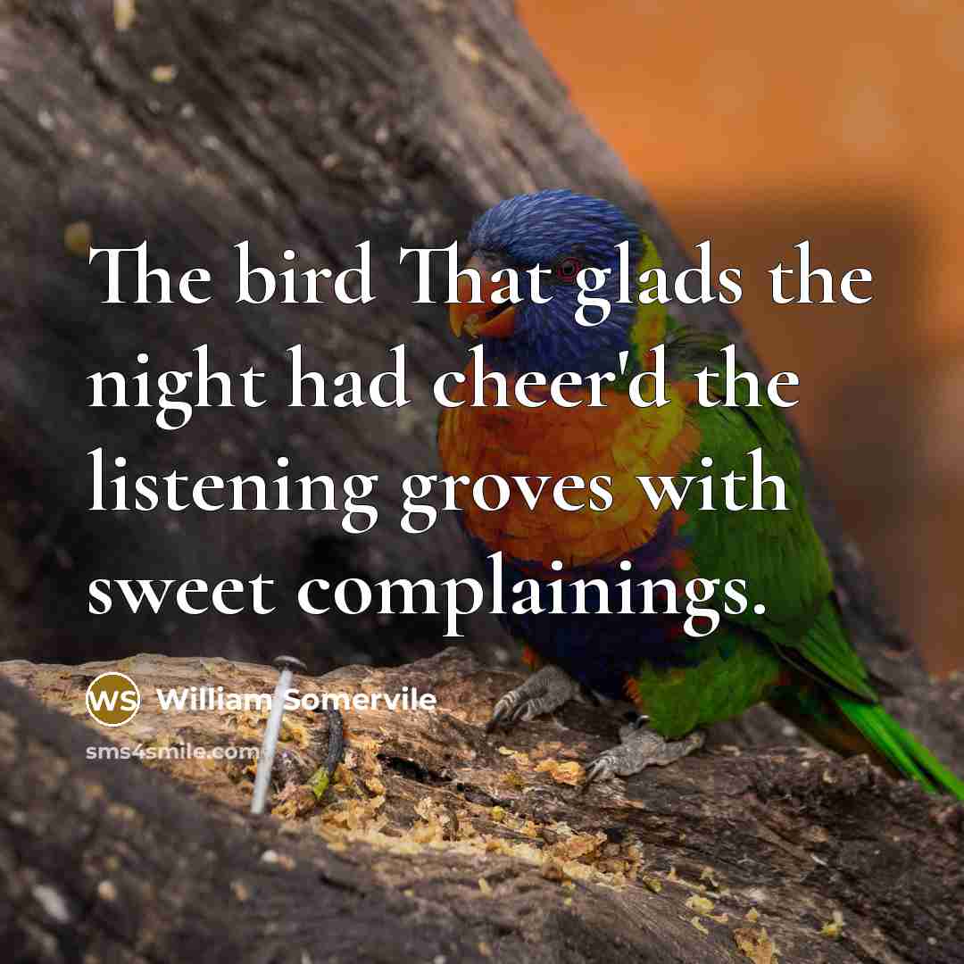 “The bird That glads the night had cheer'd the listening…” quote by William Somervile