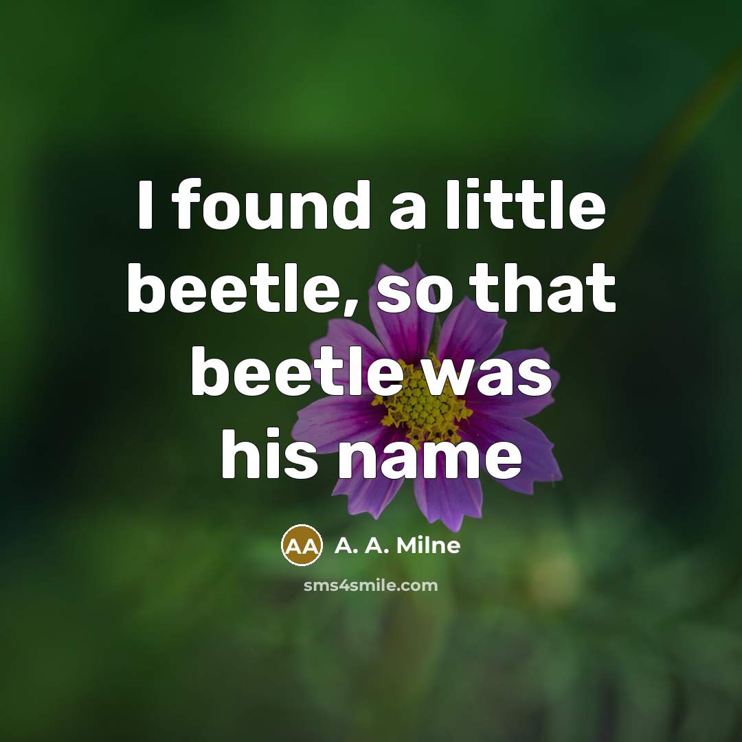 “I found a little beetle, so that beetle was his…” quote by A. A. Milne