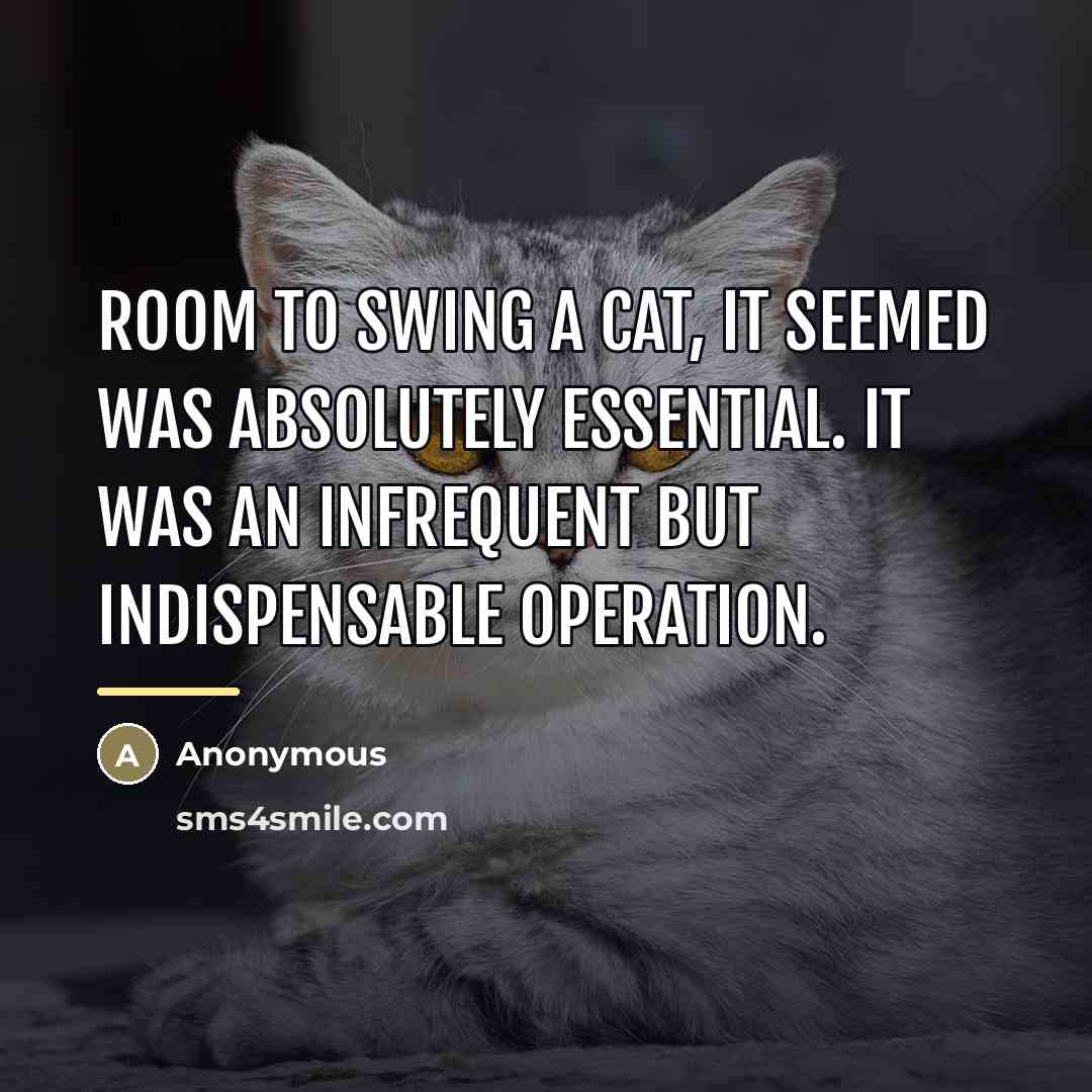 “Room to swing a cat, it seemed was absolutely essential.…” quote by Anonymous