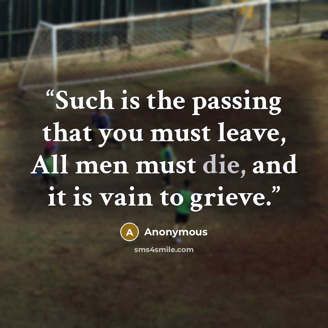 “Such is the passing that you must leave, All men must die, and it is vain to grieve.” quote by Anonymous