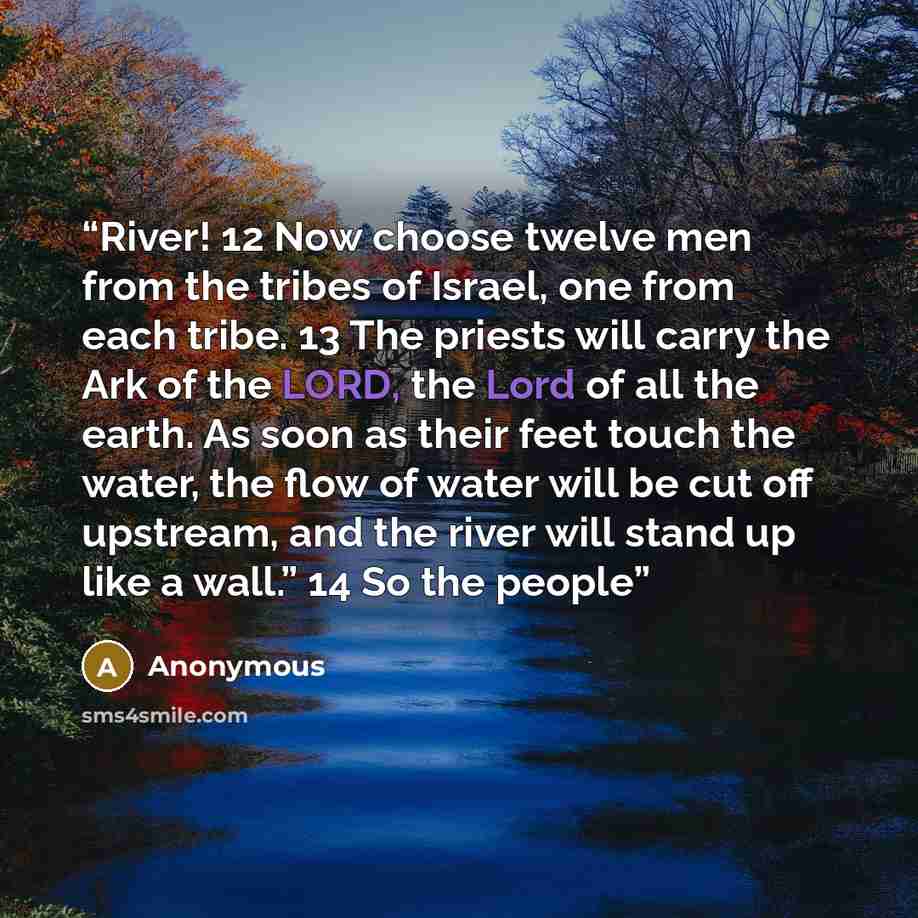 “River! 12 Now choose twelve men from the tribes of Israel, one from each tribe. 13 The priests will carry the Ark of the LORD, the Lord of all the earth. As soon as their feet touch the water, the flow of water will be cut off upstream, and the river will stand up like a wall.” 14 So the people” quote by Anonymous