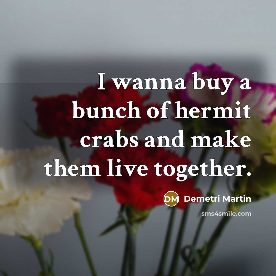 “I wanna buy a bunch of hermit crabs and make…” quote by Demetri Martin