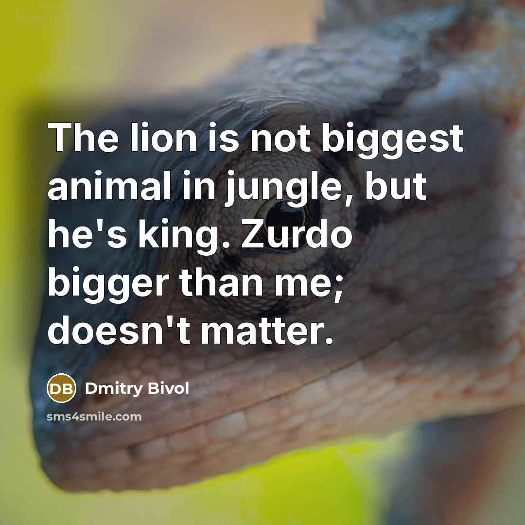 “The lion is not biggest animal in jungle, but he's…” quote by Dmitry Bivol