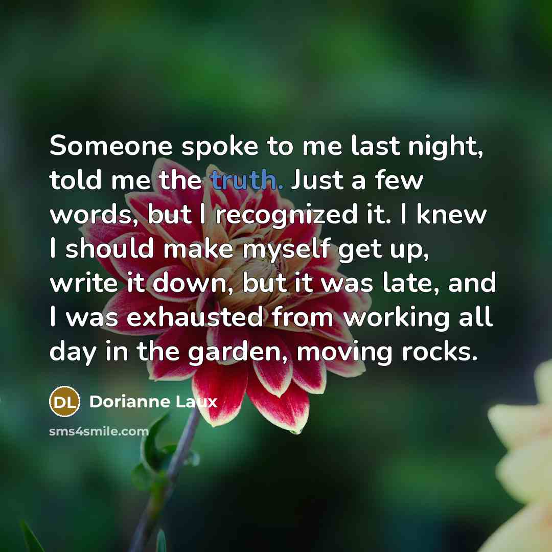“Someone spoke to me last night, told me the truth.…” quote by Dorianne Laux