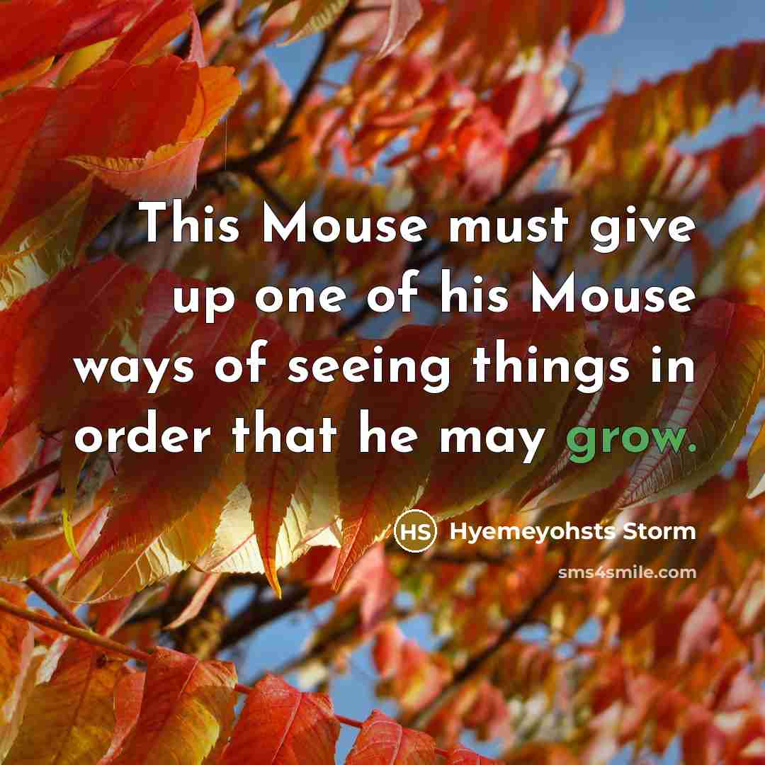 “This Mouse must give up one of his Mouse ways of seeing things in order that he may grow.” quote by Hyemeyohsts Storm