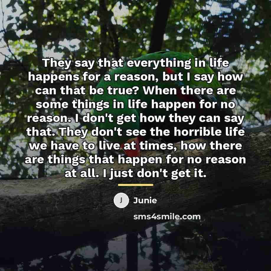 “They say that everything in life happens for a reason,…” quote by Junie
