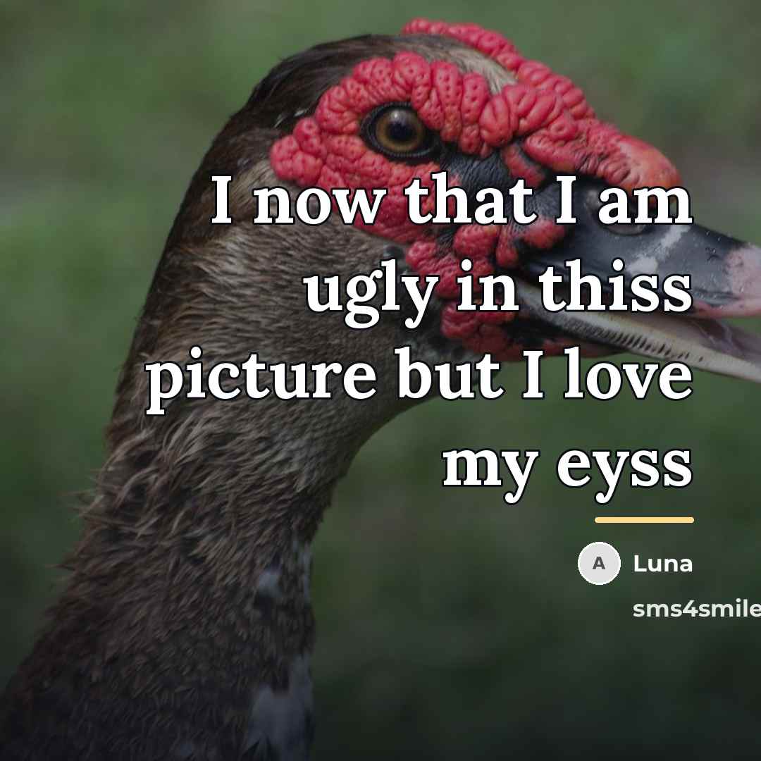 “I now that I am ugly in thiss picture but…” quote by Luna