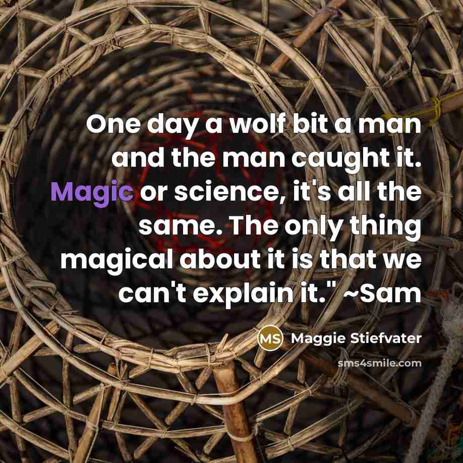 “One day a wolf bit a man and the man…” quote by Maggie Stiefvater