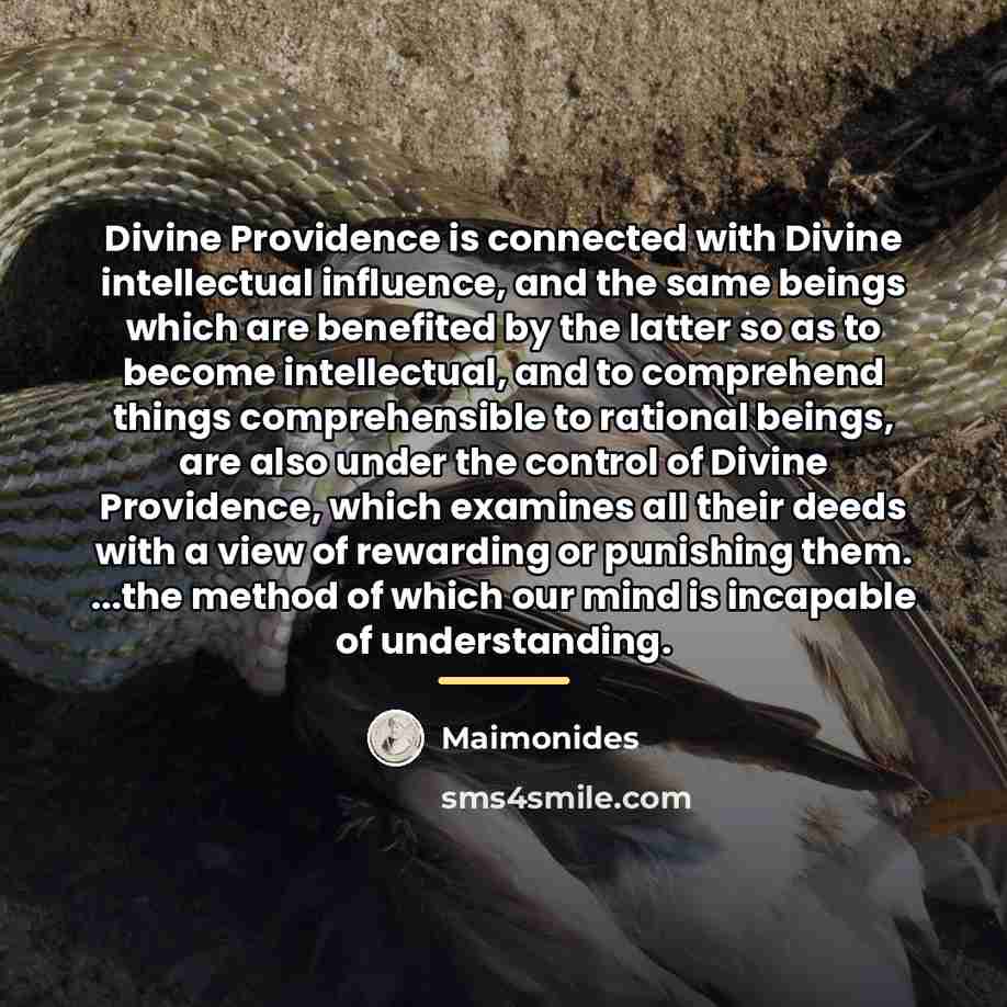 “Divine Providence is connected with Divine intellectual influence, and the…” quote by Maimonides